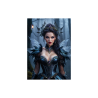 Fantasy Art portrait poster PX000027