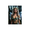 Fantasy Art portrait poster PX000037
