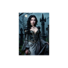 Fantasy Art portrait poster PX000038